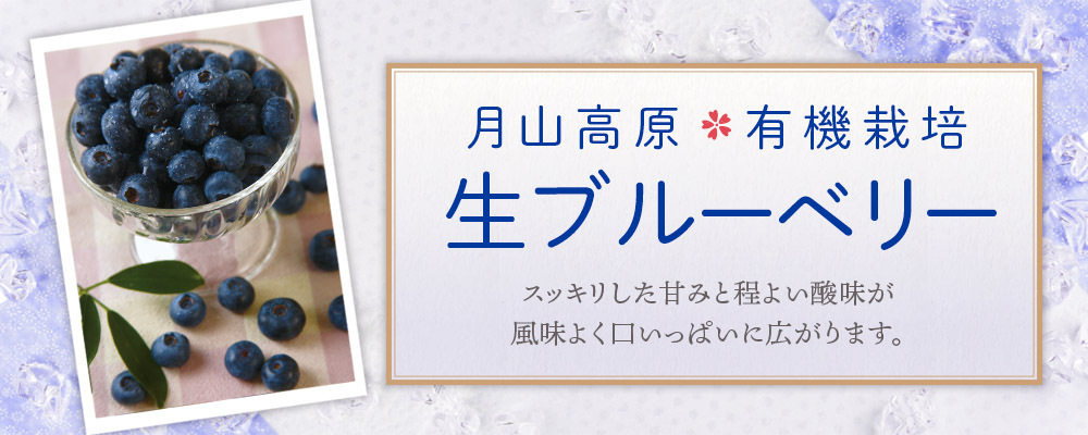 月山高原生ブルーベリー