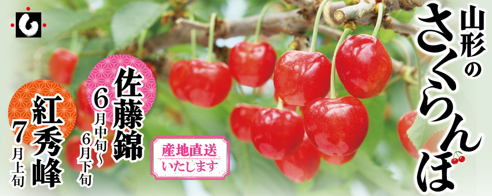 山形のさくらんぼ