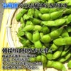 【7～9月販売予定】朝採りだだちゃ豆 山形県鶴岡市特産枝豆 早生白山/本白山/晩生 1kg1袋