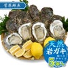 【2025年予約販売商品！】天然岩ガキ「中/5個入」（2025年7月～8月上旬発送予定）山形県　菅原鮮魚　庄内産　中サイズ　牡蠣　カキ　生食用　お取り寄せ　一部送料無料