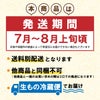 【2025年予約販売商品！】天然岩ガキ「中/5個入」（2025年7月～8月上旬発送予定）山形県　菅原鮮魚　庄内産　中サイズ　牡蠣　カキ　生食用　お取り寄せ　一部送料無料
