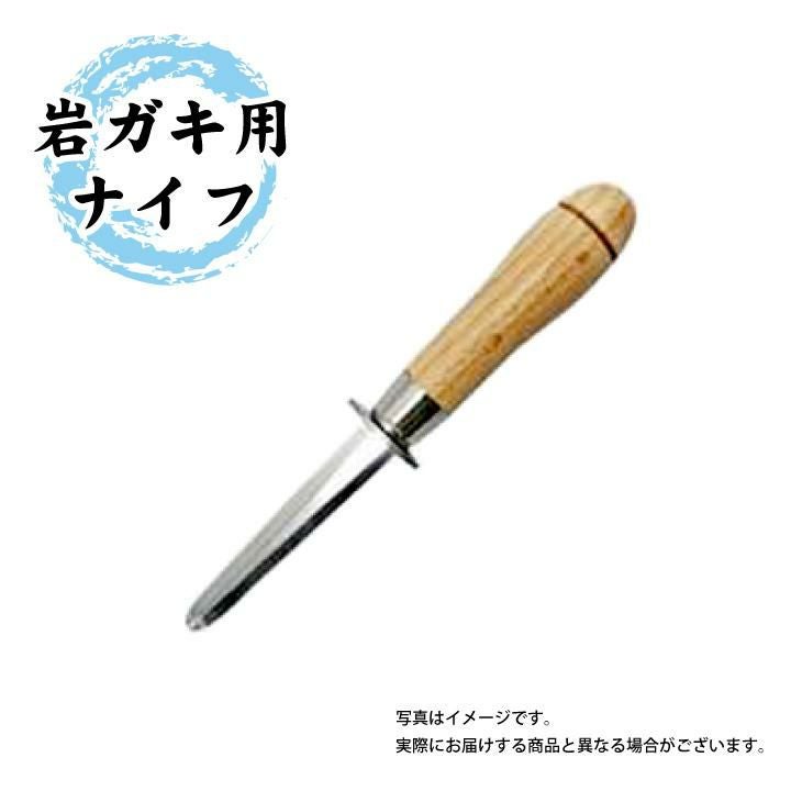 【2025年予約販売商品！】天然岩ガキ「中/5個入」（2025年7月～8月上旬発送予定）山形県　菅原鮮魚　庄内産　中サイズ　牡蠣　カキ　生食用　お取り寄せ　一部送料無料