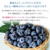 生ブルーベリー 約1kg/山形県羽黒産　無農薬・有機栽培 一部送料無料 月山高原 庄内 鶴岡 土産 御中元 お中元 お取り寄せ 特産品 グルメ 鈴木農園　発送期間：7月上旬頃～7月下旬頃