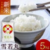 「雪若丸」山形県庄内産 令和6年(2024) 白米 5kg