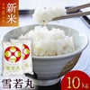 「雪若丸」山形県庄内産 令和6年(2024) 白米 5kg×2袋