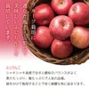 フルーツセット 山形県天童市産 ラ・フランス 5個＆ふじりんご 5個 12月上旬～12月中旬発送
