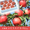 ふじりんご 山形県天童産 3kg 8～9個 一部送料無料 山形 天童 12月上旬～12月中旬頃