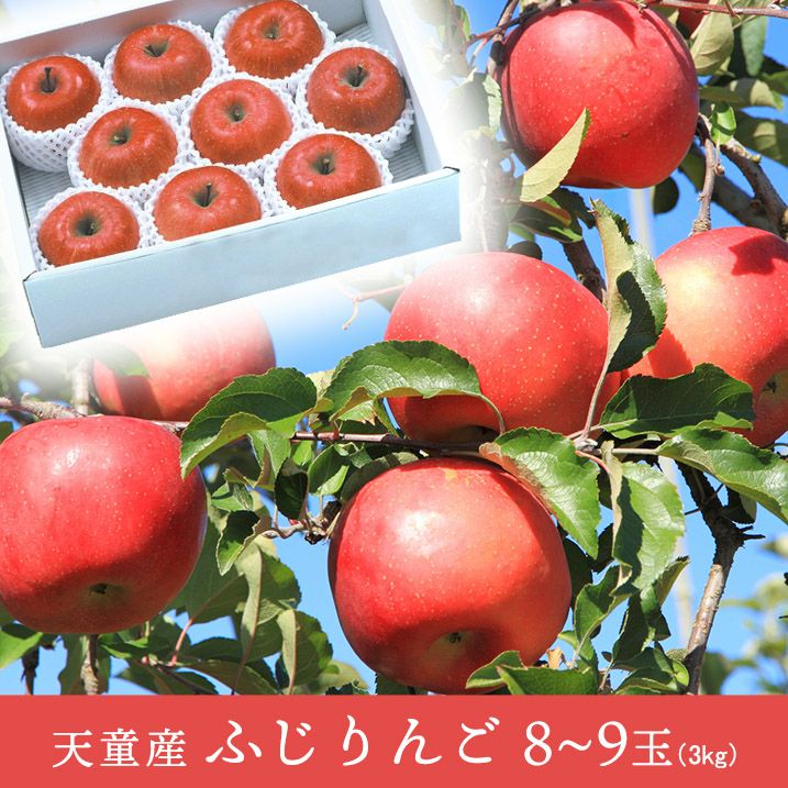 ふじりんご 山形県天童産 3kg 8～9個 一部送料無料 山形 天童 12月上旬～12月中旬頃
