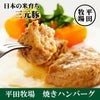 「三元豚 焼きハンバーグ」 105g 1人前 平田牧場 山形 庄内 酒田 無添加・無化調