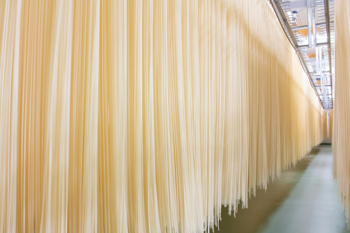 大山稲庭うどん 400g×20把(箱入) 送料無料 乾麺 山形 庄内 鶴岡 お土産