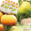 鶴岡産 庄内柿 7個 & 山形県産 ラ・フランス 2L 7個 【R6年度  予約受付中】フルーツセット 山形県 発送時期：11月上旬～11月下旬発送