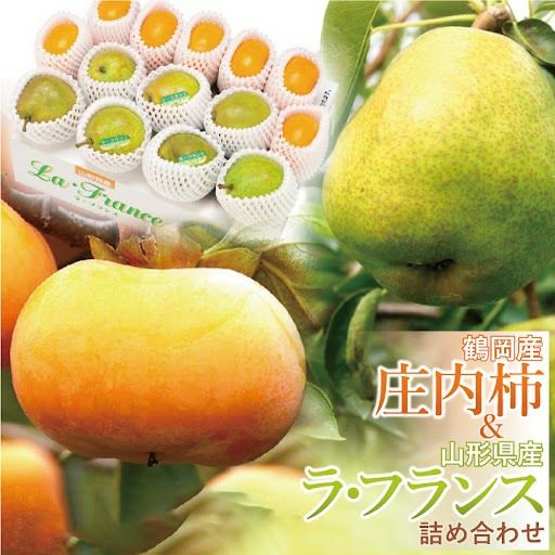 鶴岡産 庄内柿 7個 & 山形県産 ラ・フランス 2L 7個 【R6年度  予約受付中】フルーツセット 山形県 発送時期：11月上旬～11月下旬発送