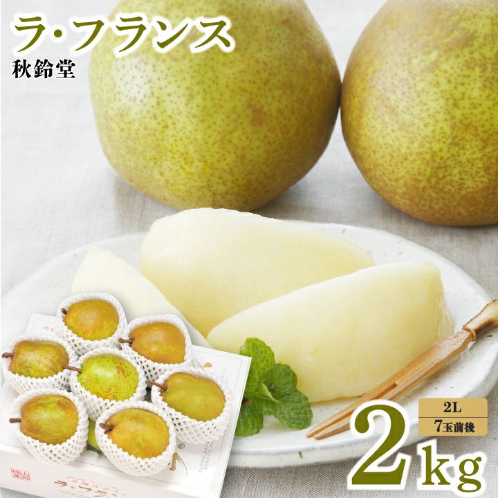 ラ・フランス 山形県天童市産 西洋梨 2L 6～7個 2kg 11月上旬～12月中旬発送
