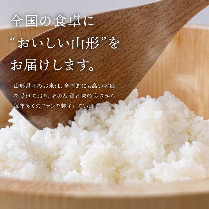 「はえぬき」山形県庄内産 令和6年(2024) 白米 10kg