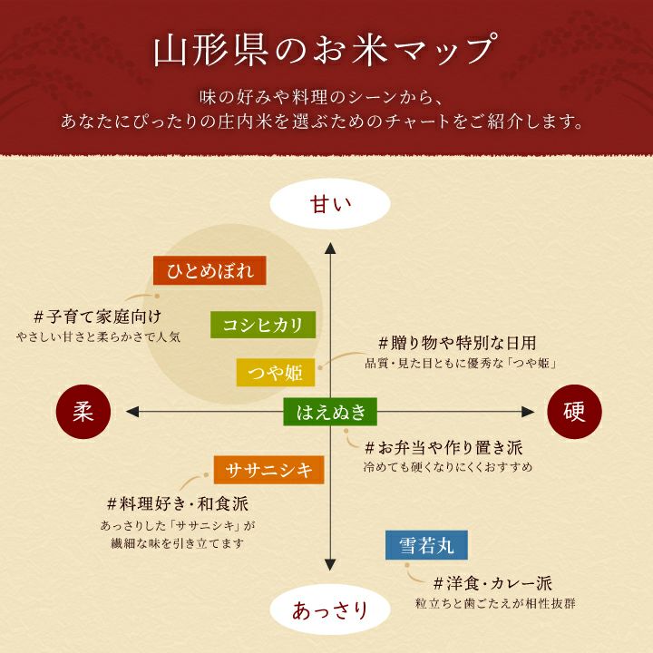 「はえぬき」山形県庄内産 令和6年(2024) 白米 10kg