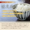 「はえぬき」山形県庄内産 令和6年(2024) 白米 10kg