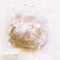 大福城 「 とちもち ( あんなし )」【1個】  餡子 あんこ 不使用 和菓子 栃餅 とち餅 山形 庄内 鶴岡 お土産 特産品 名産品 お取り寄せ