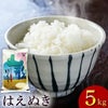 産地厳選「はえぬき」山形県庄内産 令和6年(2024) 白米 5kg