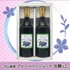月山高原 ブルーベリージュース2本セット 【720ml×2/加糖】鈴木農園(山形県鶴岡市羽黒町) 土産 おみやげ 健康 濃縮 アントシアニン