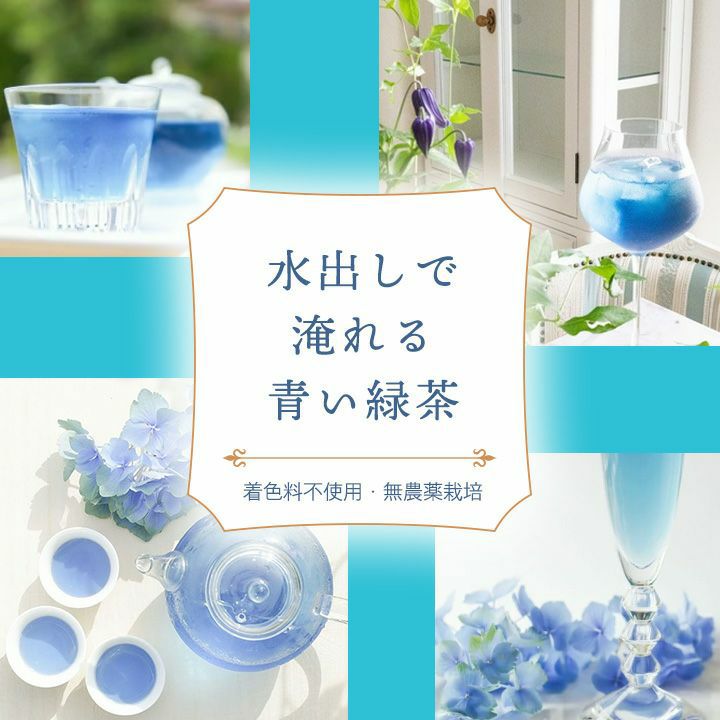 青いスミレ　おまとめ6点 青いお茶」 3g×5個入 可憐なスミレの香り 水出し 無農薬 緑茶 すみれ