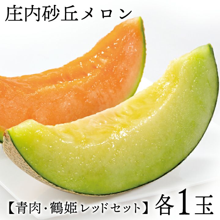 庄内砂丘メロン【青玉＆赤玉/約1.2kg･各1玉/化粧箱】山形  フルーツ  御中元 ギフト  発送期間：6月下旬～7月下旬　※青玉の品種はアンデス・鶴姫メロンいずれか、赤玉は鶴姫レッドメロン　一部送料無料