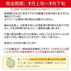 庄内砂丘メロン【青玉＆赤玉/約1.2kg･各1玉/化粧箱】山形  フルーツ  御中元 ギフト  発送期間：6月下旬～7月下旬　※青玉の品種はアンデス・鶴姫メロンいずれか、赤玉は鶴姫レッドメロン　一部送料無料