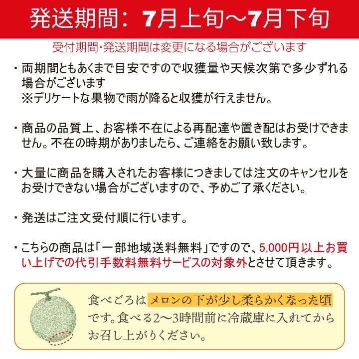 庄内砂丘メロン【青玉＆赤玉/約1.2kg･各1玉/化粧箱】山形  フルーツ  御中元 ギフト  発送期間：6月下旬～7月下旬　※青玉の品種はアンデス・鶴姫メロンいずれか、赤玉は鶴姫レッドメロン　一部送料無料