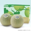 庄内砂丘メロン【青玉/約1.2kg･2玉/化粧箱】山形 土産 フルーツ 御中元 お中元  発送期間：6月下旬～7月下旬　※青玉の品種はアンデス・鶴姫メロンいずれか　 一部送料無料