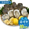 【2025年予約販売商品！】天然岩ガキ「中/10個入」（2025年7月～8月上旬発送予定）山形県　菅原鮮魚　庄内産　中サイズ　牡蠣　カキ　生食用　お取り寄せ　一部送料無料