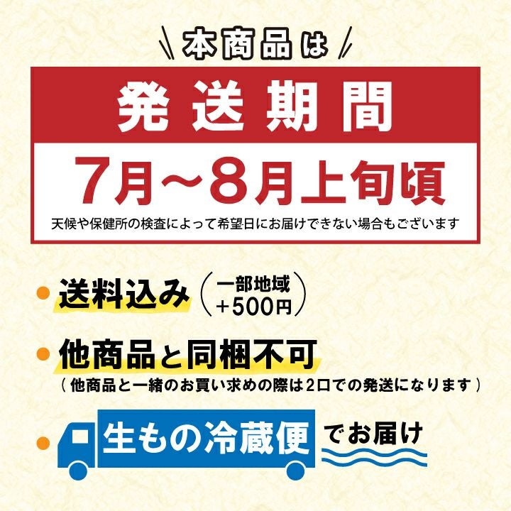 【2025年予約販売商品！】天然岩ガキ「中/10個入」（2025年7月～8月上旬発送予定）山形県　菅原鮮魚　庄内産　中サイズ　牡蠣　カキ　生食用　お取り寄せ　一部送料無料