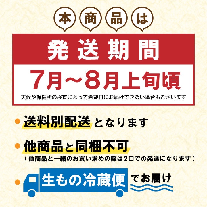 【2025年予約販売商品！】天然岩ガキ「中/10個入」（2025年7月～8月上旬発送予定）山形県　菅原鮮魚　庄内産　中サイズ　牡蠣　カキ　生食用　お取り寄せ　一部送料無料