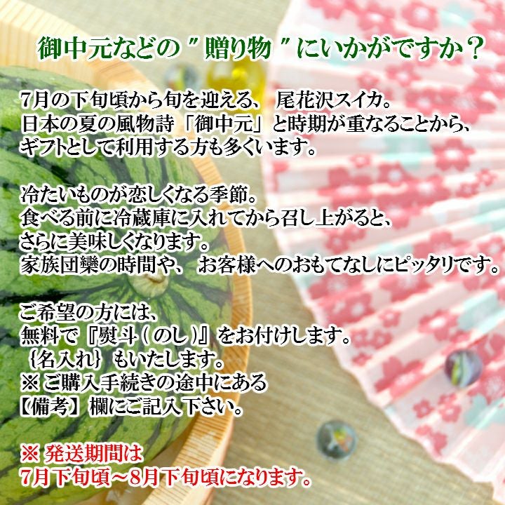 一部送料無料尾花沢スイカL～2L/2玉山形県尾花沢市フルーツすいか西瓜夏ギフト贈答用山形土産御中元お中元お取り寄せ特産品グルメ発送期間：7月下旬頃～8月下旬頃