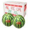 一部送料無料尾花沢スイカL～2L2玉山形県尾花沢市フルーツすいか西瓜夏ギフト贈答用山形土産御中元お中元お取り寄せ特産品グルメ発送期間：7月下旬～8月中旬