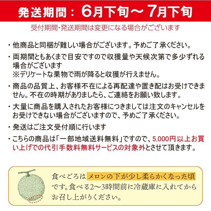 庄内砂丘メロン【青肉/秀品3L・4玉】 山形 土産 フルーツ 御中元 お中元 ギフト 贈答用 発送期間：6月下旬頃～7月下旬頃※青肉の品種はアンデス・鶴姫メロンいずれかになります。 一部送料無料