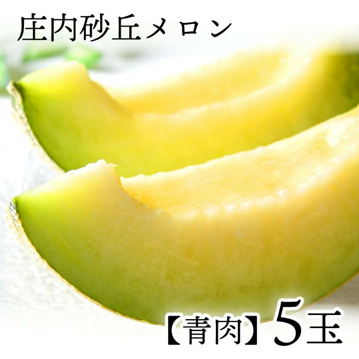 2026年予約販売開始】波の会 庄内砂丘メロン【青肉/秀品2L・5玉】 山形