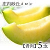  【2025年予約販売開始】波の会　庄内砂丘メロン【青肉/秀品2L・5玉】 山形 土産 フルーツ 御中元  ギフト 贈答用 発送期間：6月下旬頃～8月中旬頃※品種はパンナ・キスロマン・アンデス・グレイスのいずれかです。 一部送料無料