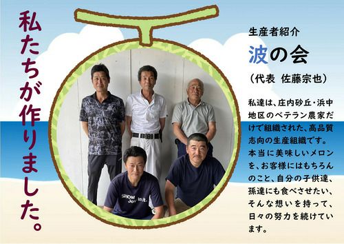  【2025年予約販売開始】波の会　庄内砂丘メロン【青肉/秀品2L・5玉】 山形 土産 フルーツ 御中元  ギフト 贈答用 発送期間：6月下旬頃～8月中旬頃※品種はパンナ・キスロマン・アンデス・グレイスのいずれかです。 一部送料無料