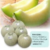  【2025年予約販売開始】波の会　庄内砂丘メロン【青肉/秀品2L・5玉】 山形 土産 フルーツ 御中元  ギフト 贈答用 発送期間：6月下旬頃～8月中旬頃※品種はパンナ・キスロマン・アンデス・グレイスのいずれかです。 一部送料無料