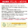  【2025年予約販売開始】波の会　庄内砂丘メロン【青肉/秀品2L・5玉】 山形 土産 フルーツ 御中元  ギフト 贈答用 発送期間：6月下旬頃～8月中旬頃※品種はパンナ・キスロマン・アンデス・グレイスのいずれかです。 一部送料無料