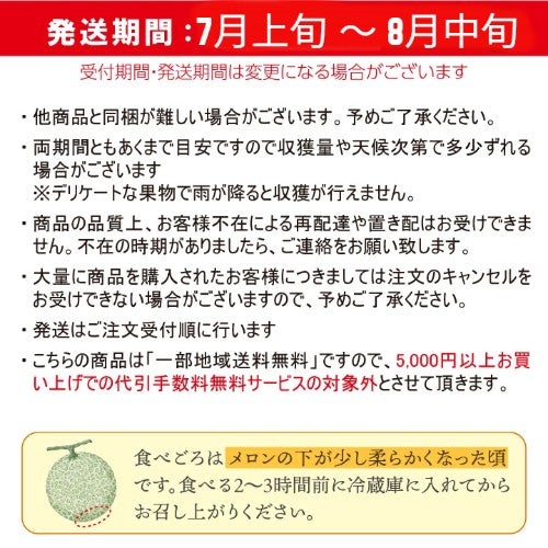  【2025年予約販売開始】波の会　庄内砂丘メロン【青肉/秀品2L・5玉】 山形 土産 フルーツ 御中元  ギフト 贈答用 発送期間：6月下旬頃～8月中旬頃※品種はパンナ・キスロマン・アンデス・グレイスのいずれかです。 一部送料無料