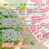一部送料無料尾花沢スイカ5L・1玉山形県尾花沢市フルーツすいか西瓜夏ギフト贈答用山形土産お御中元お中元お取り寄せ特産品グルメ発送期間：7月下旬頃～8月下旬頃