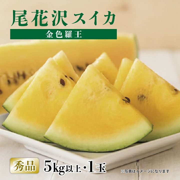 数量限定販売！】尾花沢スイカ 金色羅王（秀品/5kg以上1玉） 山形県