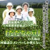 【7～9月販売予定】朝採りだだちゃ豆 山形県鶴岡市特産枝豆 早生白山/本白山/晩生 360g×5袋