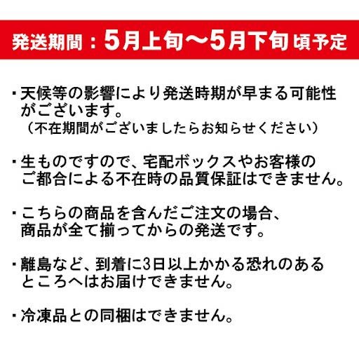 【5月上旬～5月下旬発送予定】 庄内 孟宗汁セット【3～4人前】一部送料無料 レシピ付 鶴岡 孟宗汁 郷土料理 グルメ お取り寄せ 特産品 名産品 冷蔵