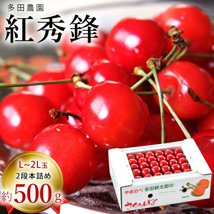 【予約販売限定】多田農園「紅秀峰（約500g/本詰め）」(露地栽培)　【2025年7月上旬～発送予定】　山形県山辺産　さくらんぼ　L～2L玉本詰め　7月上旬発送　産地直送　お中元　ギフト　一部送料無料