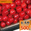 【予約販売限定】秋鈴堂「紅秀峰（500g/バラ詰め）」(露地栽培)　【2025年7月上旬～発送予定】　山形県寒河江産　さくらんぼ　2L玉バラ詰め　7月上旬発送　産地直送　お中元　ギフト　一部送料無料