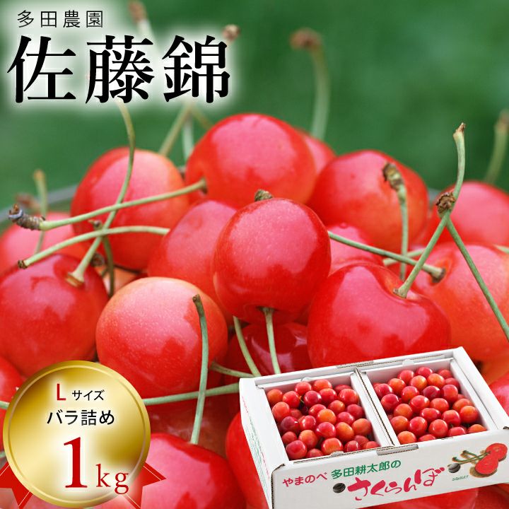 【予約販売限定】多田農園「佐藤錦（1kg/バラ詰め）」(露地栽培)　【2025年6月中旬～6月下旬発送予定】　山形県山辺産　さくらんぼ　L玉バラ詰め　6月中旬～6月下旬発送　産地直送　お中元　ギフト　送料無料