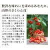 【予約販売限定】多田農園「佐藤錦（1kg/バラ詰め）」(露地栽培)　【2025年6月中旬～6月下旬発送予定】　山形県山辺産　さくらんぼ　L玉バラ詰め　6月中旬～6月下旬発送　産地直送　お中元　ギフト　送料無料