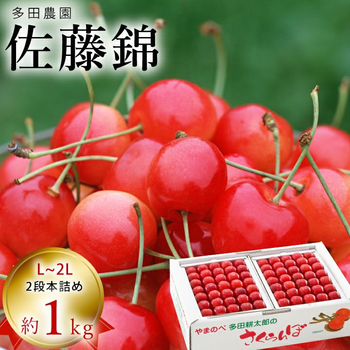 2026予約販売開始】多田農園「佐藤錦（約1kg/本詰め）」(露地栽培) 【6