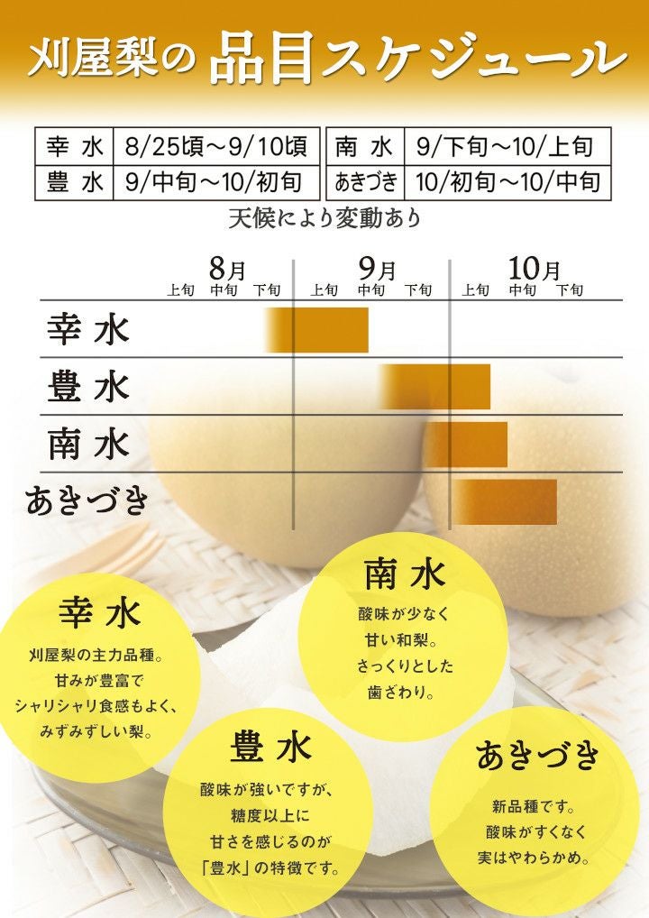 刈屋梨「あきづき/3kg・6～9玉入（化粧箱入）」【2024年予約販売開始】山形県庄内酒田市刈屋(かりや)産 和梨 あきづき 3kg 6～9玉 10月上旬発送 お取り寄せ